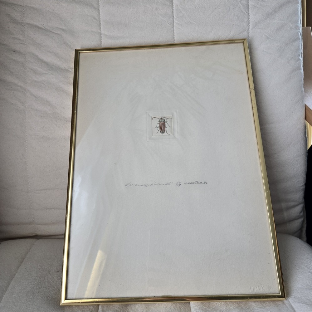 Rimer Cardillo Print Etching Limited Edition Escarabajo De Southern Hills Number